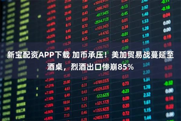 新宝配资APP下载 加币承压！美加贸易战蔓延至酒桌，烈酒出口惨崩85%