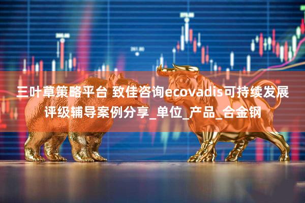 三叶草策略平台 致佳咨询ecovadis可持续发展评级辅导案例分享_单位_产品_合金钢