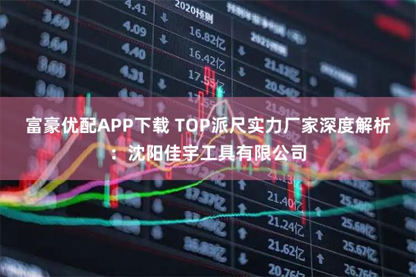 富豪优配APP下载 TOP派尺实力厂家深度解析：沈阳佳宇工具有限公司