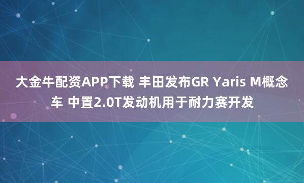 大金牛配资APP下载 丰田发布GR Yaris M概念车 中置2.0T发动机用于耐力赛开发