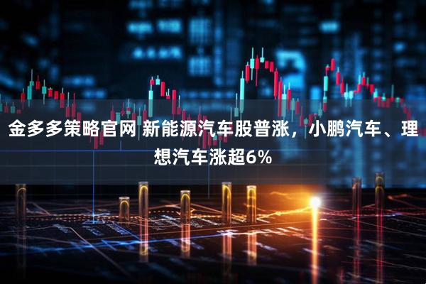 金多多策略官网 新能源汽车股普涨，小鹏汽车、理想汽车涨超6%