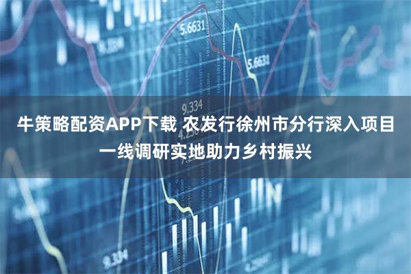 牛策略配资APP下载 农发行徐州市分行深入项目一线调研实地助力乡村振兴