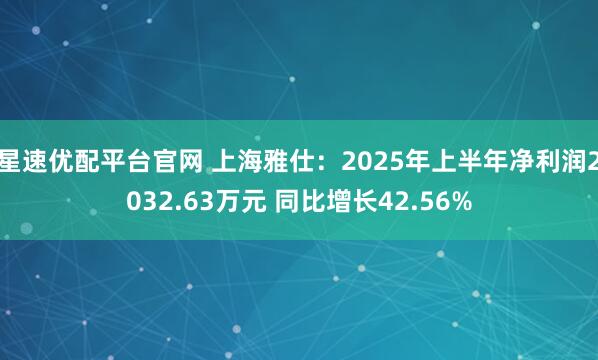 星速优配平台官网 上海雅仕：2025年上半年净利润2032.63万元 同比增长42.56%